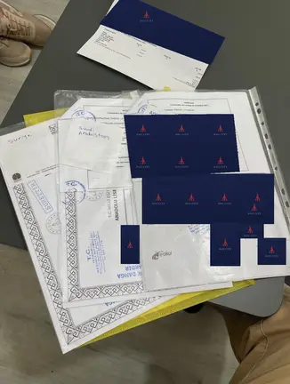 Копия одобренного документа с безвозвратно стёртыми персональными данными
